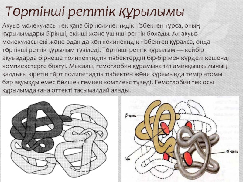 Денатурация және ақуыздардың түсті реакциялары презентация