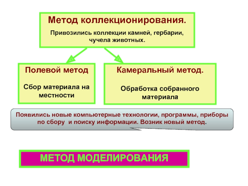 Полевые и камеральные работы