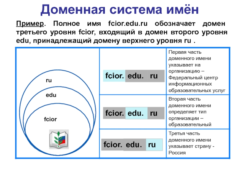 Доменные имена презентация