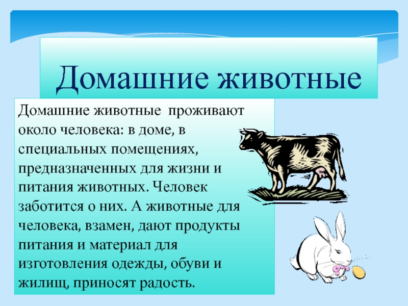 План презентации разведение и хозяйственное значение домашних зверей