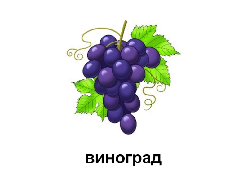 Виноград звуковая схема