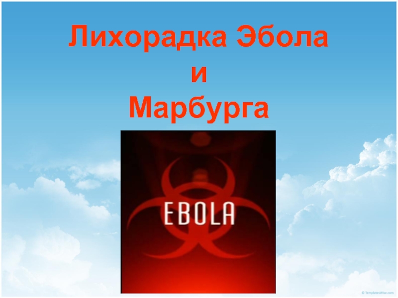Презентация Лихорадка Эбола и Марбурга