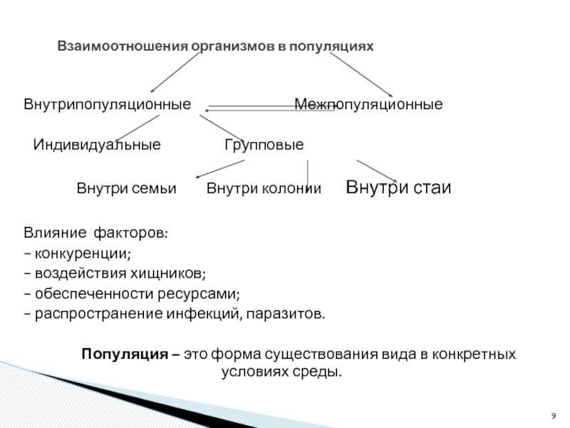 Генетический состав популяции 11 класс презентация