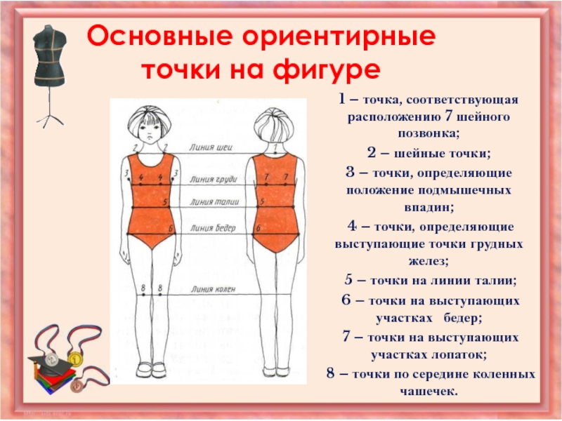 Какие мерки необходимы для построения чертежа фартука записываются в половинном размере