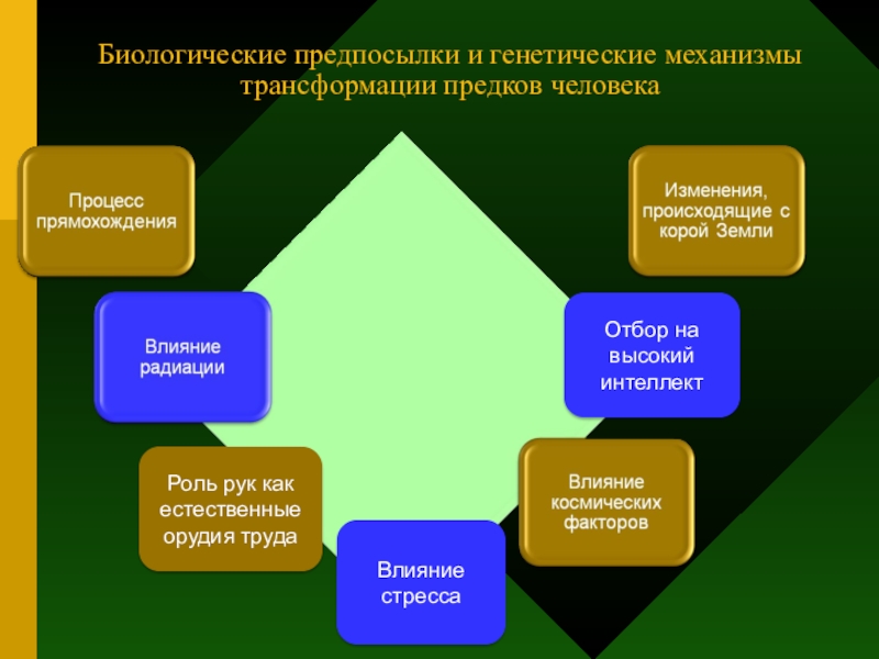 Биологическое общество. Биологические предпосылки. Биологические предпосылки человека. Биологические предпосылки происхождения человека.. Биологической предпосылкой возникновения человека является.