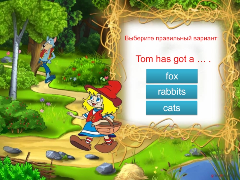 Красная шапочка на английском языке. Jim has got a Rabbit. Tom has. Tom has got Art.