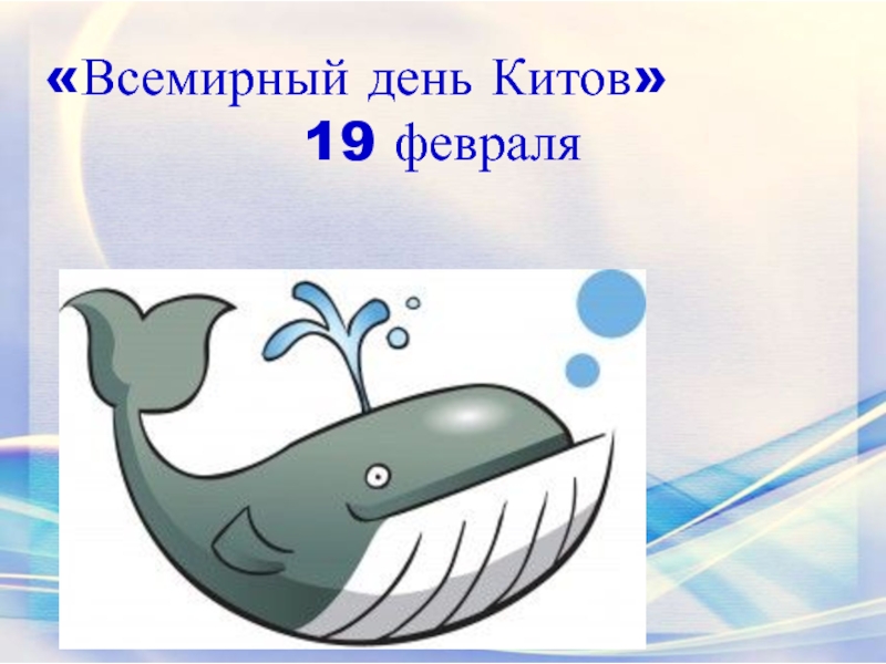 Всемирный день Китов 
19 февраля