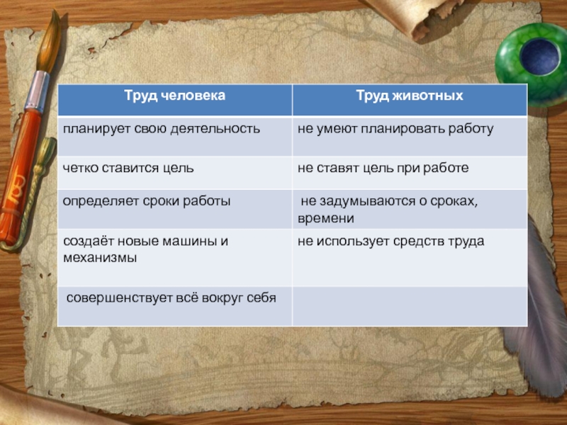 Проект труд и творчество 5 класс