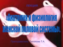 ЛЕКЦИЯ
Преподаватель: Тихонова Т.А.
Анатомия и физиология
женской половой