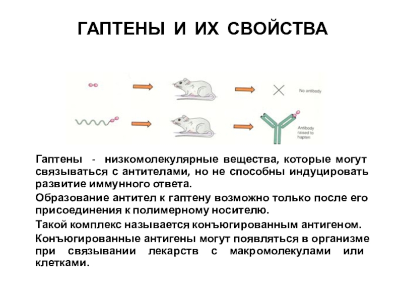 Индуцировать это. Низкомолекулярные вещества. Образование антител. Гаптены и Полугаптены. Гаптены стоматологические.