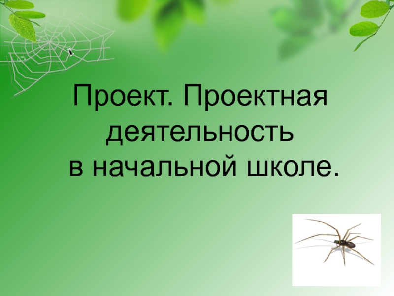 Презентация Проект. Проектная деятельность в начальной школе