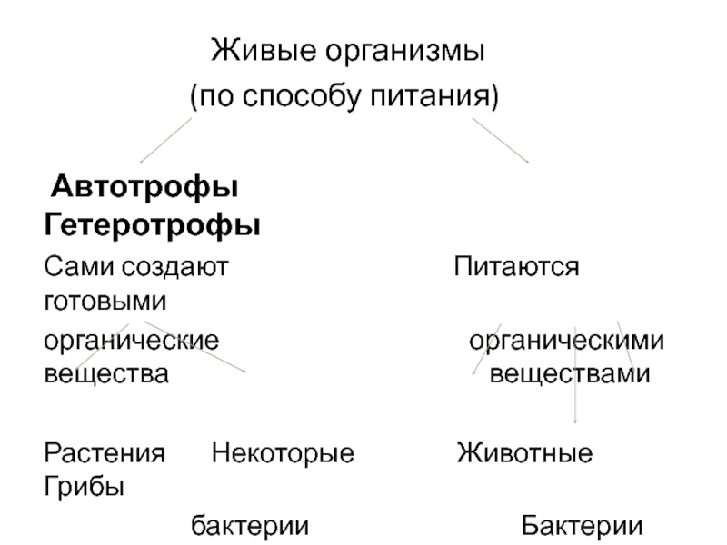 Организмы питающиеся живыми организмами это