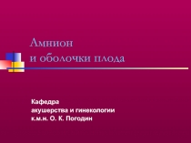 Амнион и оболочки плода