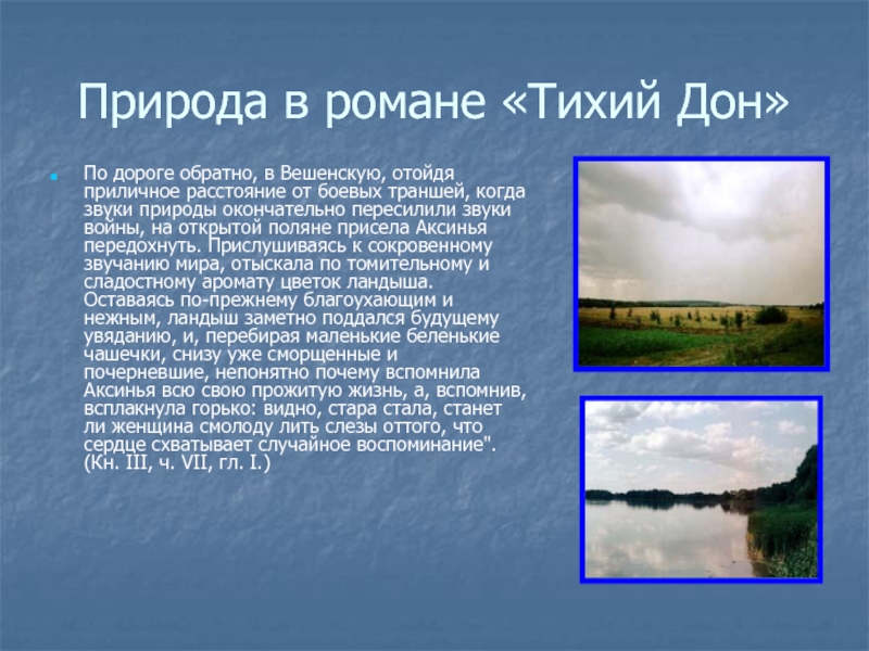 Назовите историческое событие которое не стало предметом изображения в романе тихий