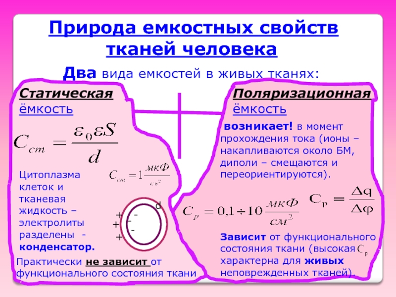 Импеданс тканей организма эквивалентная электрическая схема тканей организма