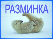 Разминка