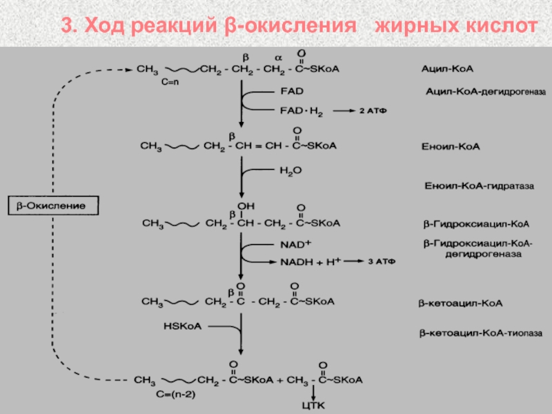 Процесс окисления показан схемой