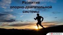 Развитие
опорно-двигательной системы