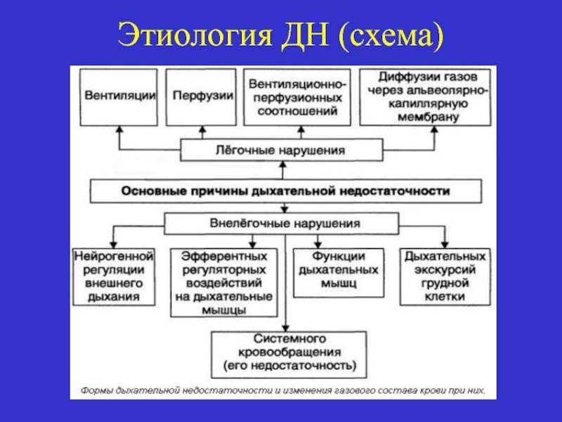 Этиология интеллектуальных нарушений схема