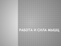 Работа и сила мышц