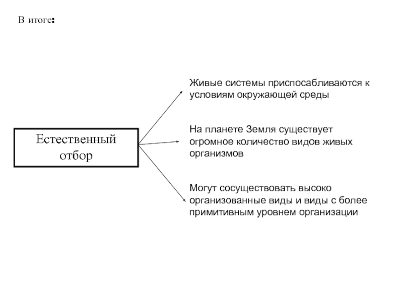 Живой результат