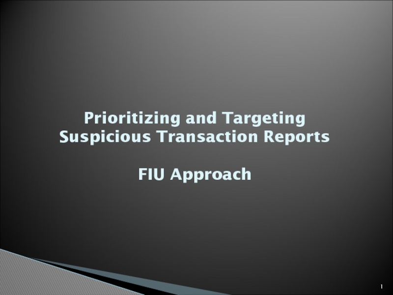 Презентация Prioritizing and Targeting Suspicious Transaction Reports FIU Approach