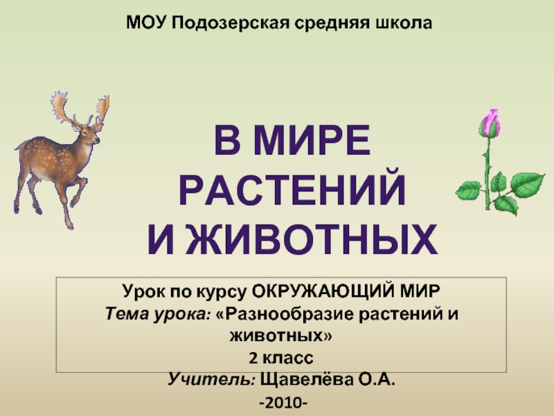 Презентация В мире растений и животных
