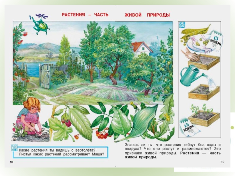 Картинки по предмету окружающий мир