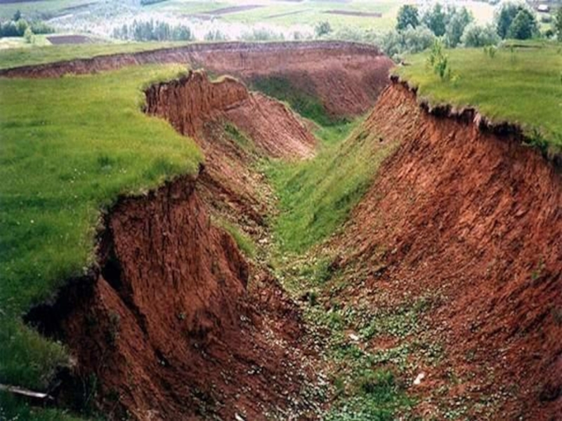 Овражно балочный рельеф фото