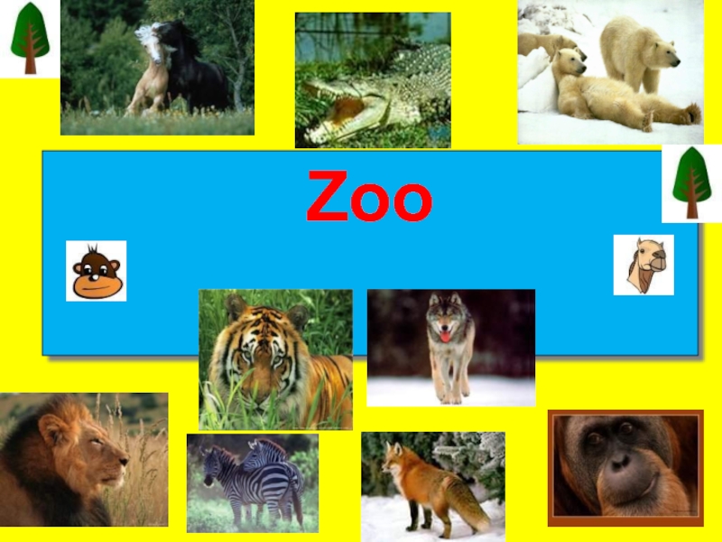 Презентация Zoo