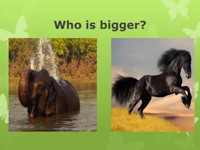 Who is big