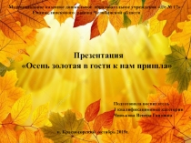 Муниципальное казенное дошкольное образовательное учреждение  д /с № 17