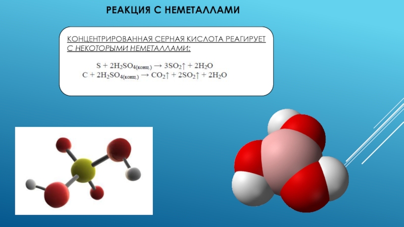 Серная кислота вступает в реакцию замещения с. Реакция серной кислоты с неметаллами. Серная кислота с неметаллами. Реакция неметаллов с концентрированной серной кислотой. Серная кислота с неметаллами взаимодействует.