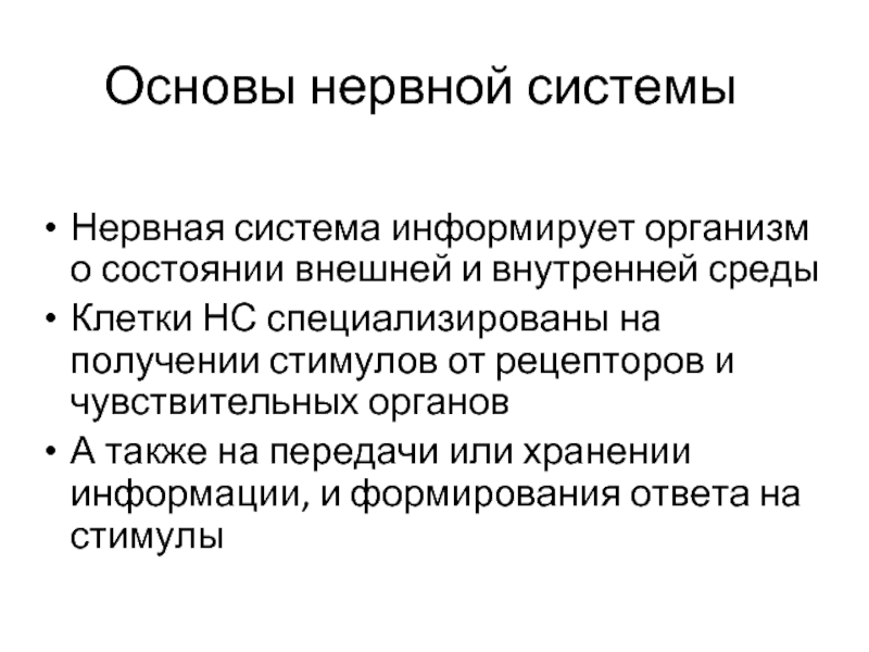 1 неврология. Основа нервной системы. Что составляет основу нервной системы. Нервная система стимул. О чем Рецептор может информировать ЦНС.