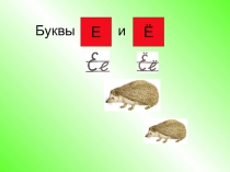 Буквы Е и Ё