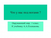 Что у нас под ногами ? Окружающий мир . 1 класс