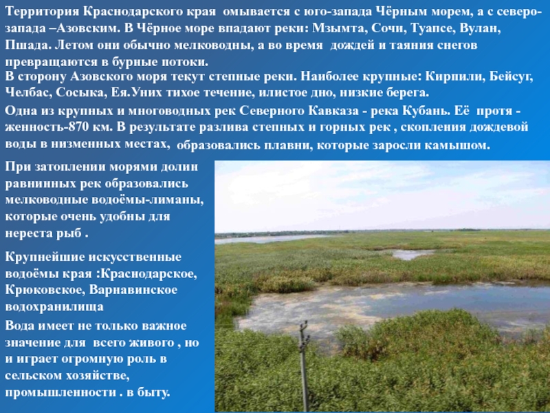 Краснодарский край доклад. Сообщение о реке Кубань. Доклад про реку Кубань. Степные реки Кубани. Моря и реки Краснодарского края.