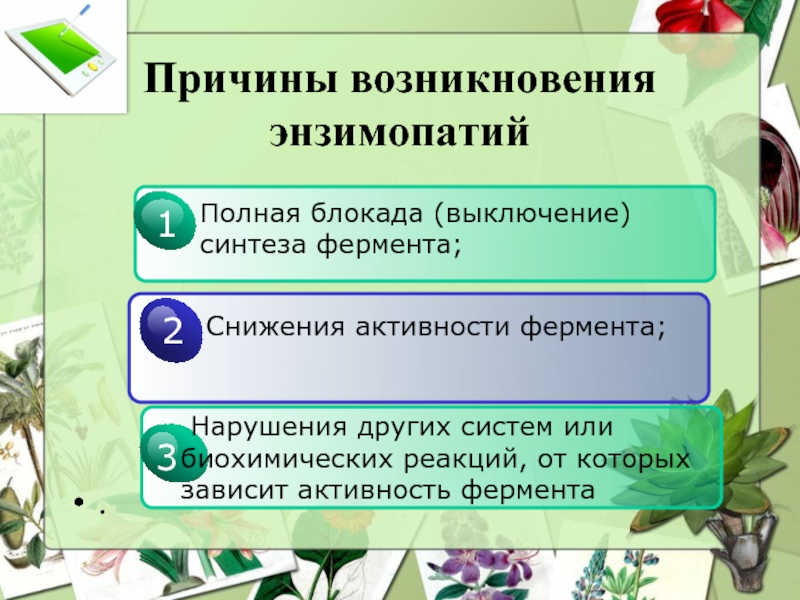 Энзимопатии. Первичные и вторичные энзимопатии. Первичные энзимопатии причины. Причины появлений энзимопатий. Наследственные энзимопатии.