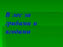 В лес за грибами