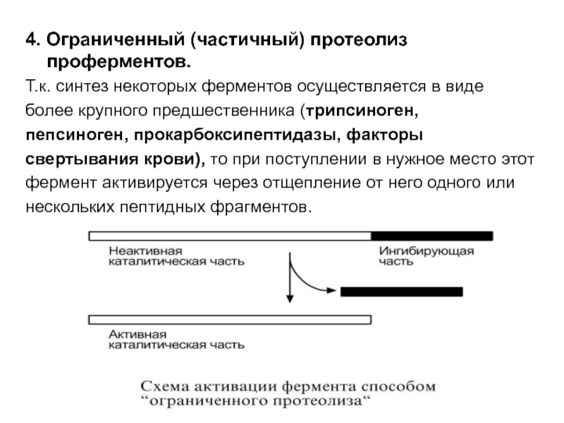 Схему активации пепсиногена