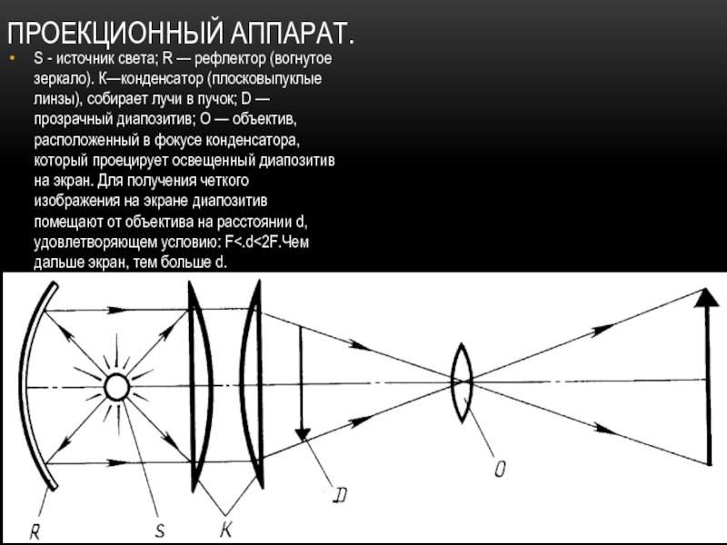 Выпуклая линза собирает лучи