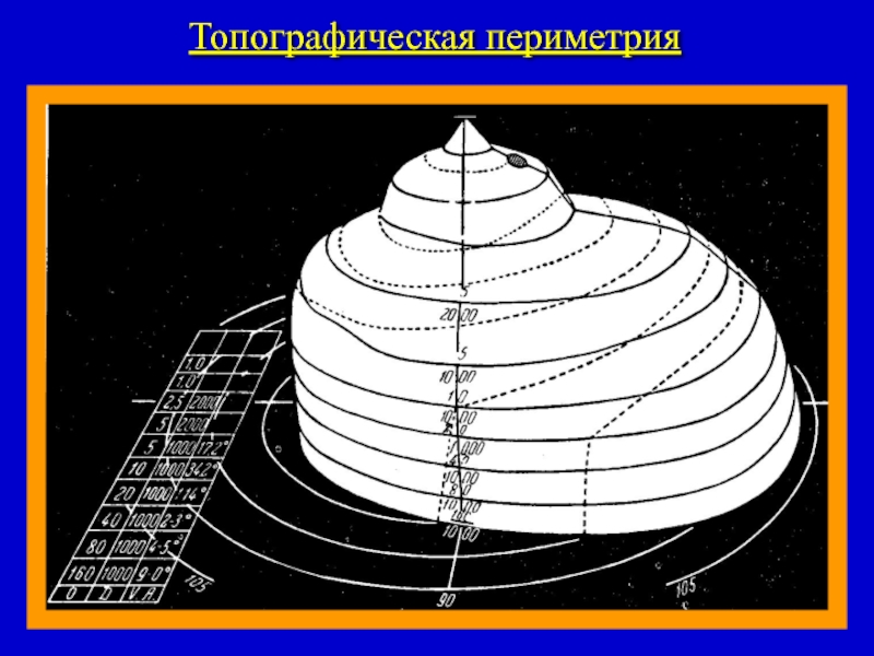 Периметрий