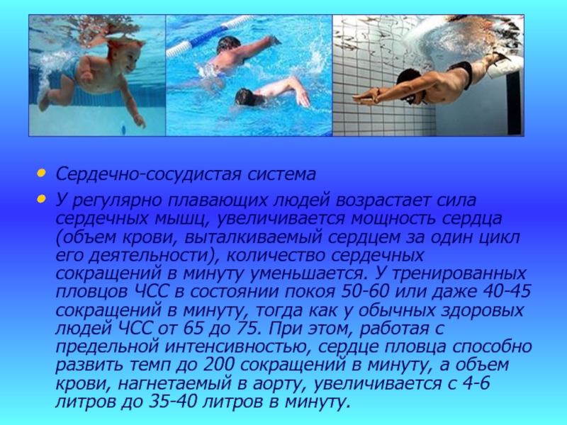 Объем легких у спортсменов занимающихся плаванием. Влияние плавания на сердечно-сосудистую систему. Презентация на тему пловец. Плавание по физкультуре. Влияние плавания на дыхательную систему человека.