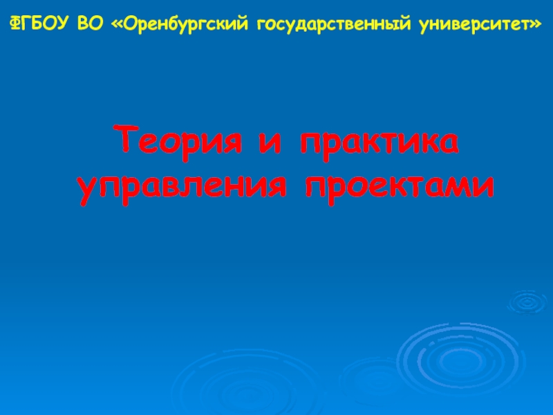 Презентация Теория и практика управления проектами