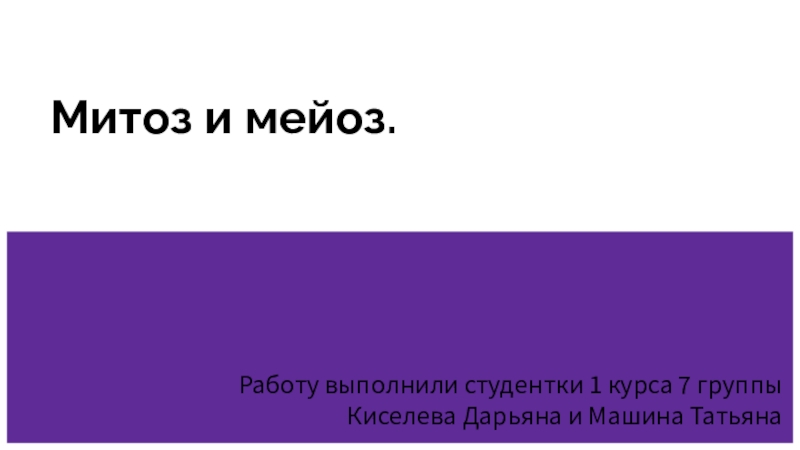 Митоз и мейоз