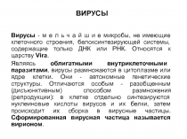 Вирусы 
