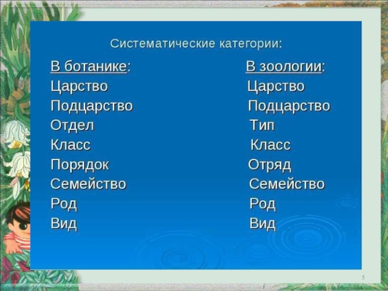 Расположите растения в порядке. Систематические категории. Систематически категории. Систематические категории в зоологии. Систематические категории растений и животных.