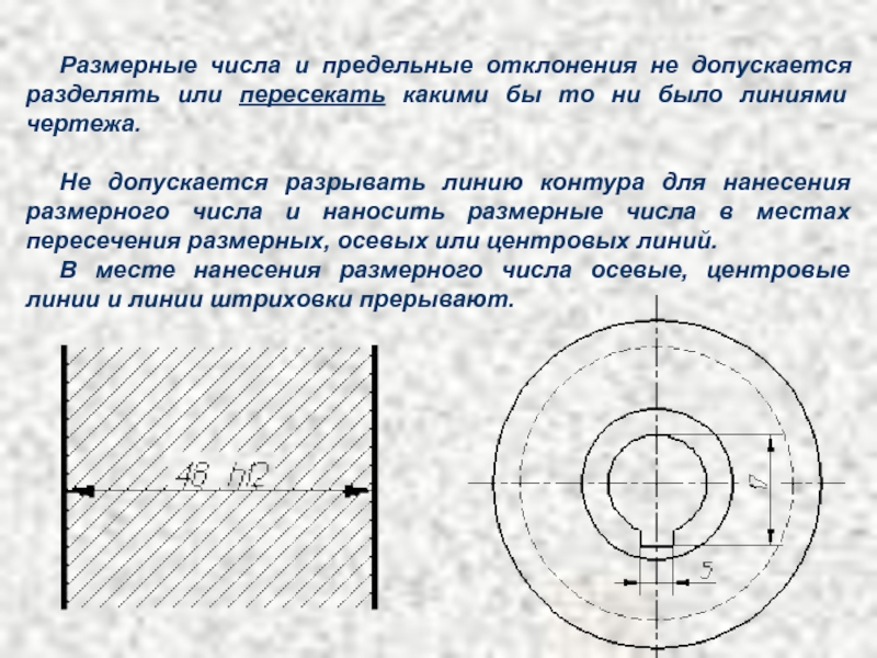 Линией какое число. Как наносить размерные числа. Расположение размерных чисел. На чертеже размерное число наноси. Нанесение предельных отклонений размеров на чертежах.