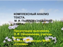Комплексный анализ текста