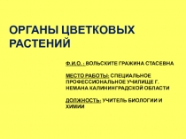 Органы цветковых растений 6 класс